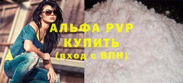 СК Алексин
