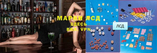 СК Алексин